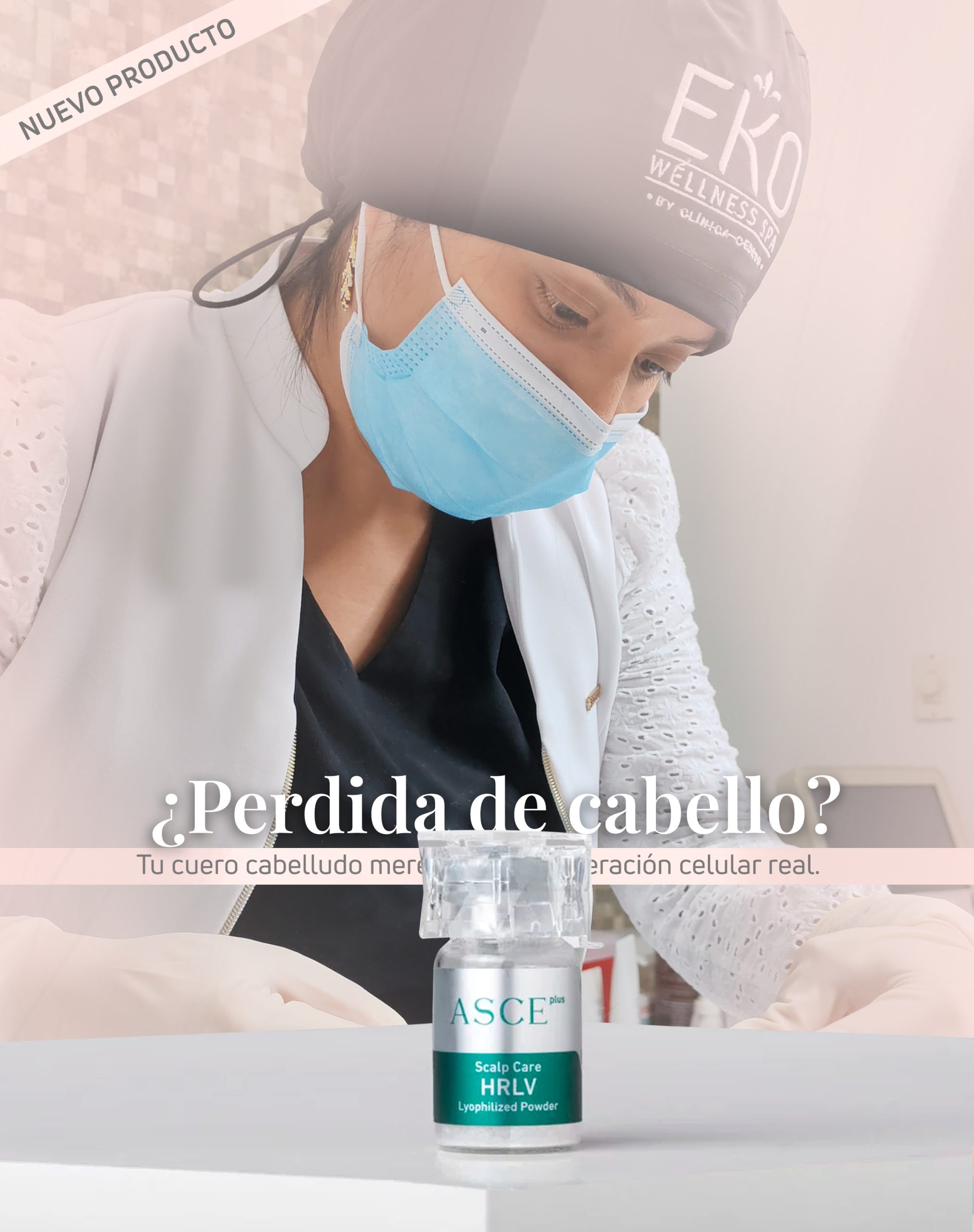 Fondo